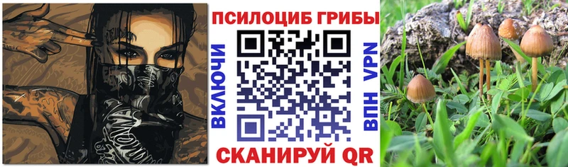 Галлюциногенные грибы мухоморы  где можно купить   Тара 